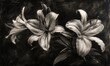 © TheoTheWizard - Black and white illustration of lilies
