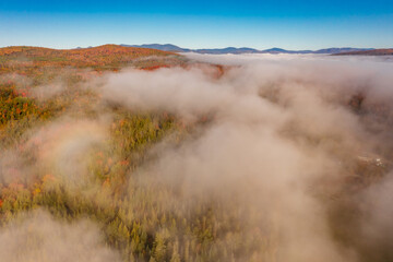 Poster - Top dron view through clouds on orange and green trees in fog at dawn in autumn. Nature background.