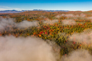 Poster - Top dron view through clouds on orange and green trees in fog at dawn in autumn. Nature background.