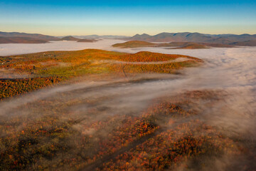 Wall Mural - Drone flight over foggy clouds over colorful trees in fog at dawn in autumn. Mountains background.