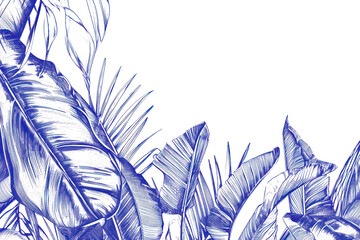 Wall Mural - PNG Outdoors pattern drawing nature.