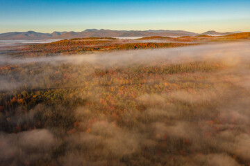 Poster - Top drone view through clouds on multicolor trees in fog at dawn in autumn. Mountains background.