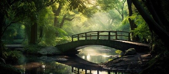 Aufkleber - Sunlight filters through the lush forest canopy illuminating a small white bridge, leading to the depths of the woods, creating a serene copy space image.