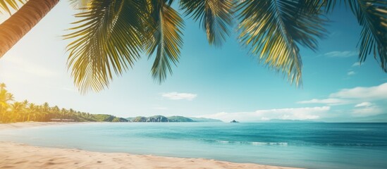 Poster - Blurred Palm trees and a tropical beach create a summery vacation vibe in the background of this image, ideal for copy space integration.