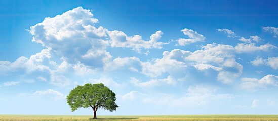 Aufkleber - Tree set against a picturesque blue sky dotted with fluffy clouds, providing a serene backdrop for the scene with plenty of copy space image.