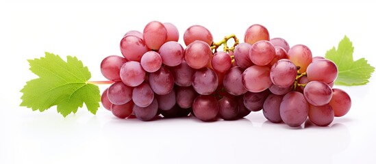 Grapes in detailed view on a white background with copy space image.