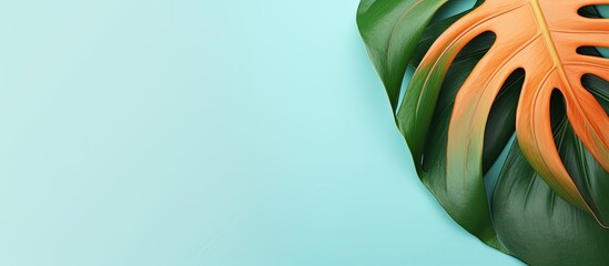 Poster - Monstera leaf on a colorful background with room for text in the image. with copy space image. Place for adding text or design