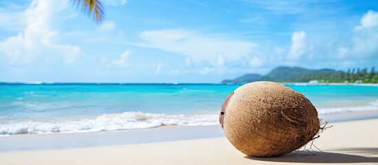Aufkleber - Coconut resting on sandy beach with copy space image available.