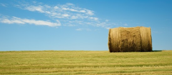Aufkleber - Haymaking with a haystack and freshly cut grass, ideal for a copy space image.