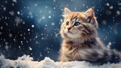 Wall Mural - Kitten in the snow

