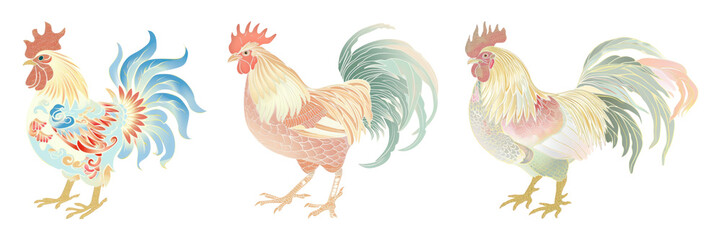 Wall Mural - Water color chicken png element set on transparent background