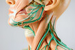 © Oksana_Latysheva - 3D anatomical Illustration of the human lymphatic system