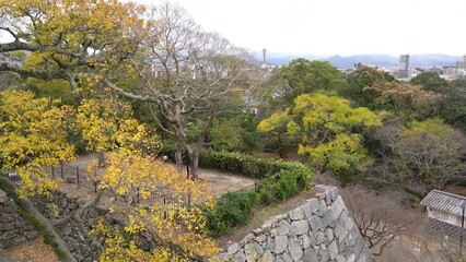 Wall Mural - Autumn of Fukuoka Castle Ruins Maizuru Park in Fukuoka, Japan