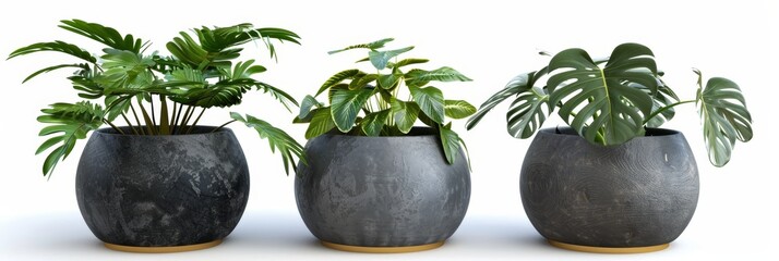 Poster - Set of various retro and modern vases, pots, furniture cutouts, isolated on a transparent background - Generative AI collection