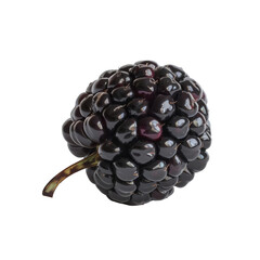 Capture a side view of a ripe Blackberry on a crisp, isolated white background using CG 3D techniques