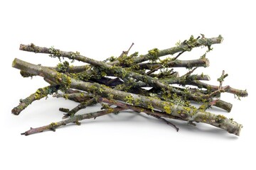 Aufkleber - A natural scene featuring a pile of branches covered in lush green moss