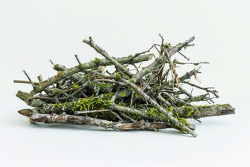 Aufkleber - A bundle of twigs and moss arranged on a white surface, suitable for use in designs related to nature, decor, or DIY projects