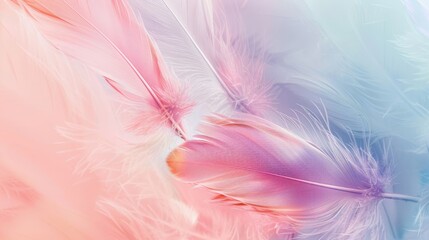 Wall Mural - soft pastel feathers in shades of pink and blue create a delicate, dreamy abstract background. perfe