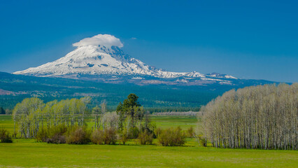 Wall Mural - Scenic mountain peak with trees, grass, and field