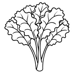 Detailed Vector Illustration of Kale Leaves