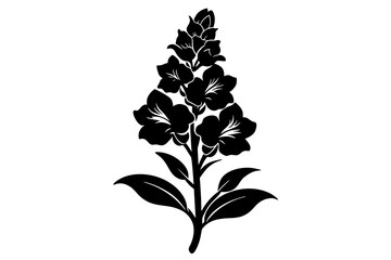 Wall Mural - snapdragon flower silhouette vector illustration