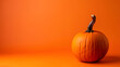 © Mangata Imagine - Pumpkin on orange color background, copy space area for text and design