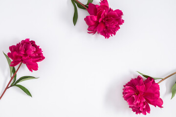 Wall Mural - flower composition with peonies. pink peonies on white background. birthday, wedding, mother's day, 