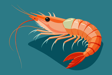 Wall Mural - shrimp vector illustration