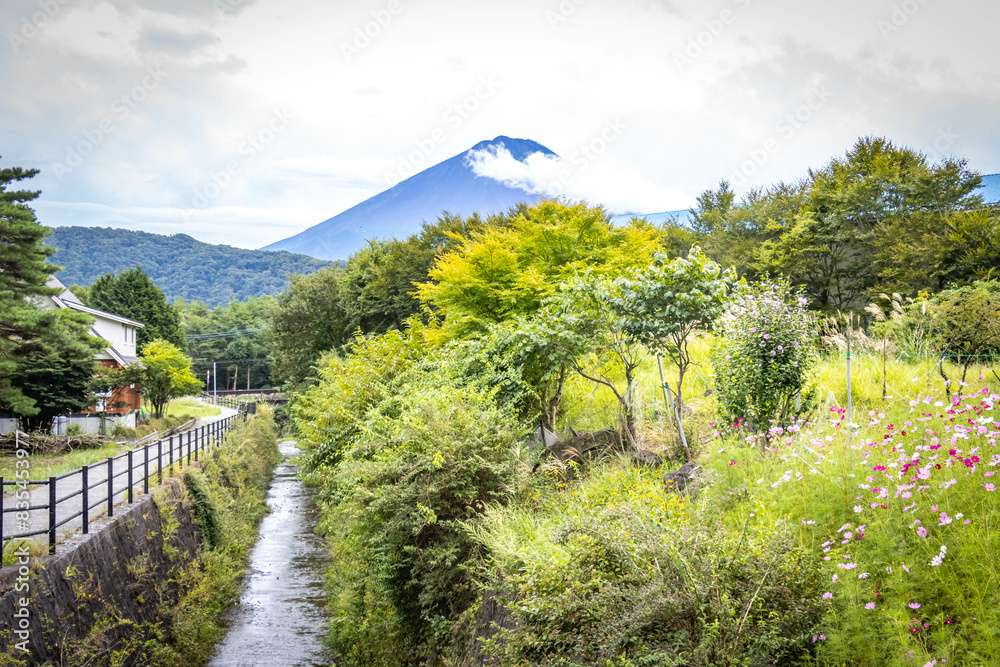Saiko Iyashi-no-Sato Nenba, traditional japanese village, thatched roof ...