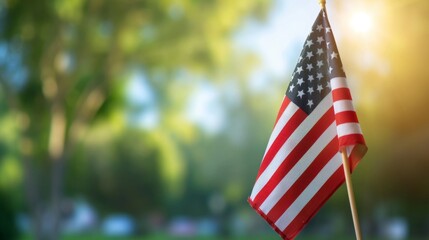 Wall Mural - US national flag in park