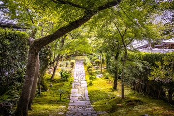 Ryoanji, ryoan-ji temple, temple, kyoto, temple building,  japan, zen, tourism, garden