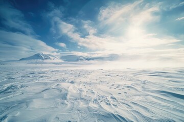 Wall Mural - A vast, snow-covered plain with a clear blue sky