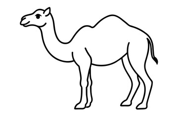 camel line art vector illustration