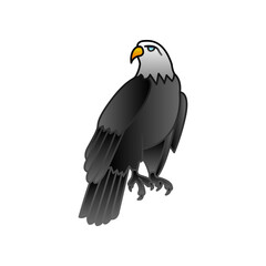 Wall Mural - Eagle illustration PNG