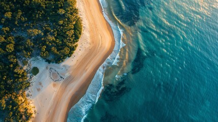 Top view of a serene Australian island beach seascape. travel world background concept for designer