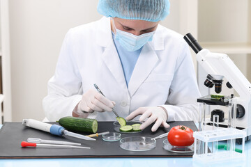 Wall Mural - Quality control. Food inspector examining cucumber in laboratory