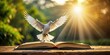 © joompon - Photo of a dove flying out of a book symbolizing freedom and International Day of Peace , freedom, dove, book, fly, peace, concept, symbol, international, day, wings, white, paper, bird, sky