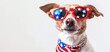 © Timaren - Cute dog wearing patriotic accessories, including red star sunglasses and a flag bandana, perfect for American holiday celebrations.