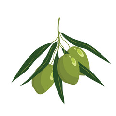 Wall Mural - Italy Olive