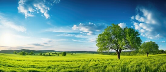 Wall Mural - Scenic landscape with a tree on green grass, against a backdrop of blue skies, mountains, and the warm hues of a sunrise or sunset with copy space image.