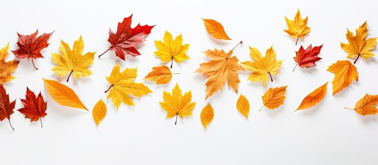 Wall Mural - Autumn-themed banner with red maple leaves swaying in the wind and basking in sunlight, perfect for Black Friday and Halloween promotions, with space to insert images. Copy space image