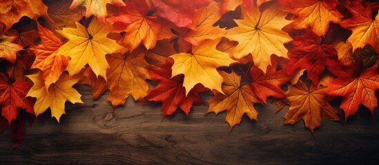 Flat lay of orange maple leaves on a red backdrop with a copy space image.