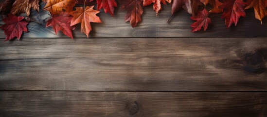 Wall Mural - An aerial view displays a rustic dark banner background bordered by colorful fall leaves, nuts, and pine cones, leaving room for a copy space image.