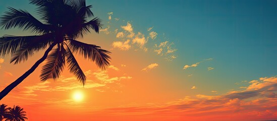 Sticker - Coconut palm tree branches against a clear blue sky with copy space image.