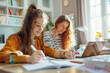 © Jane_S - Two girls studying together in a bright home setting.