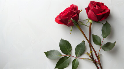 A pair of red roses with stems crossing each other