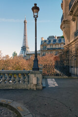 Wall Mural - the eiffel tower in paris city