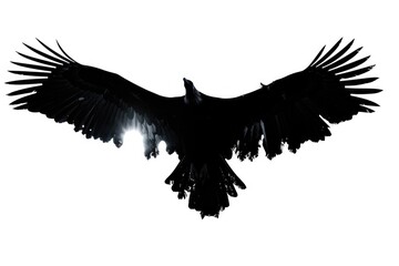 Poster - A picture of a large black bird flying through the air, with blurred background