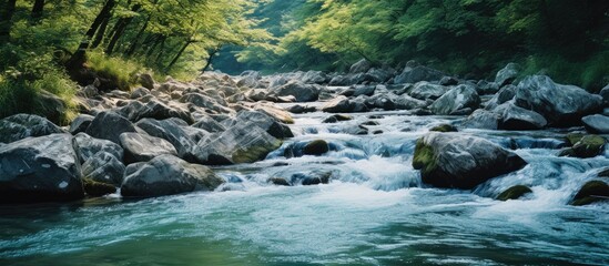 Poster - rapid stream with clear mountain water. Creative banner. Copyspace image