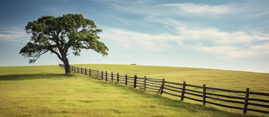 Sticker - Fence by a lone tree in a farm field. Creative banner. Copyspace image